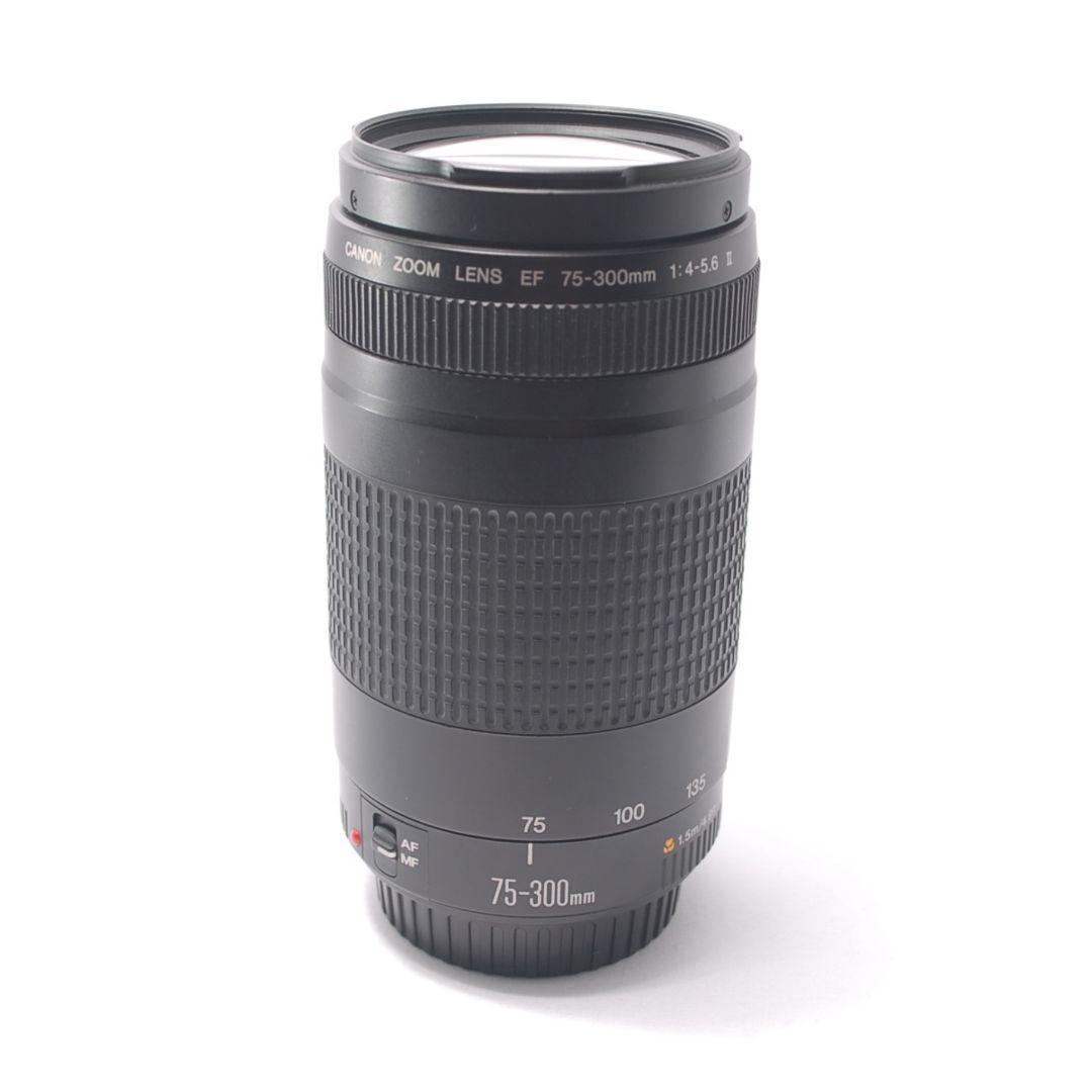 ❤日常をドラマに❤ Canon EF 75-300mm 初めまして 望遠レンズ