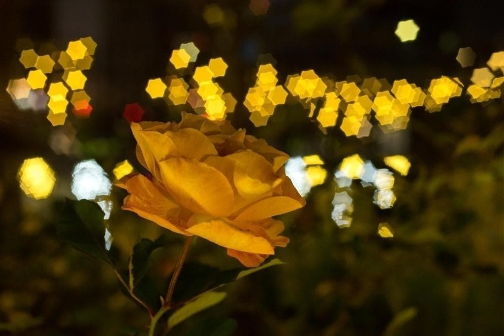 5新品同様　星形ボケレンズ　MC VOLNA-9 50mm/f2.8 付属品付