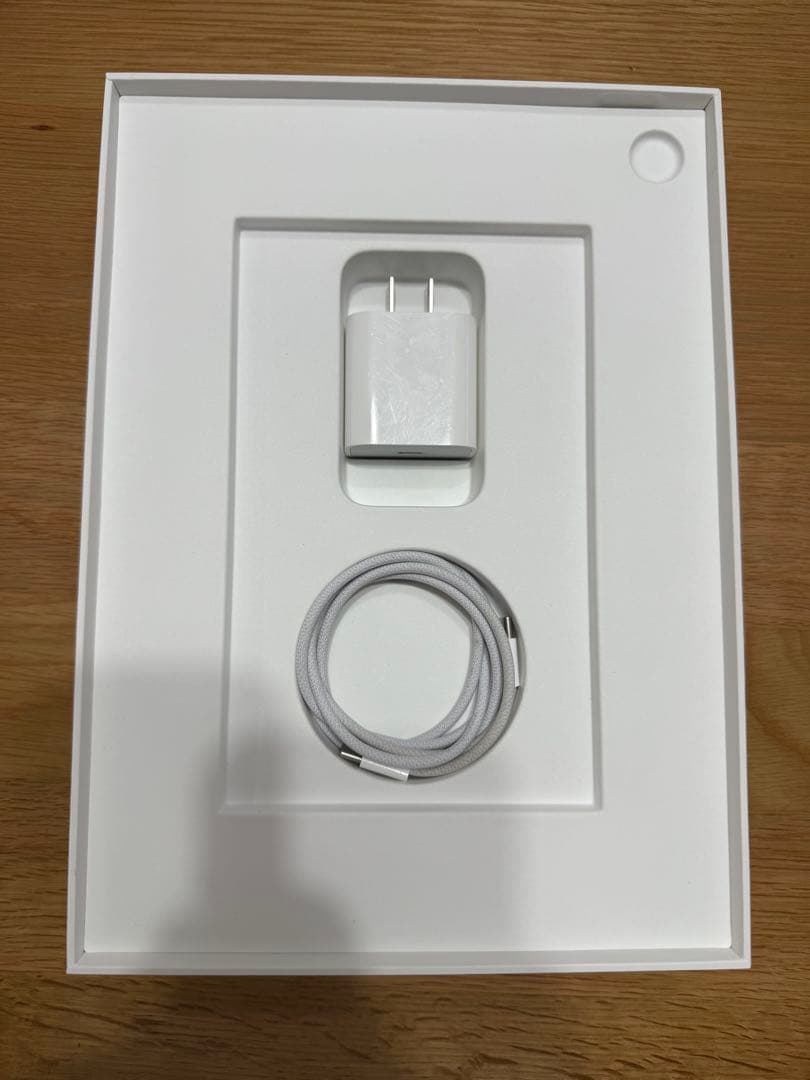 Apple iPad ピンク 本体　256GB