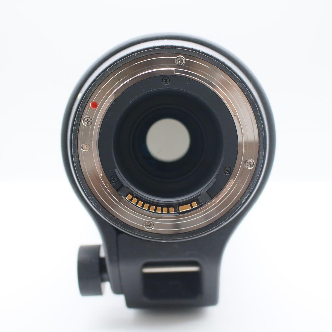 シグマ150-600mm Contemporary キヤノンEFマウント