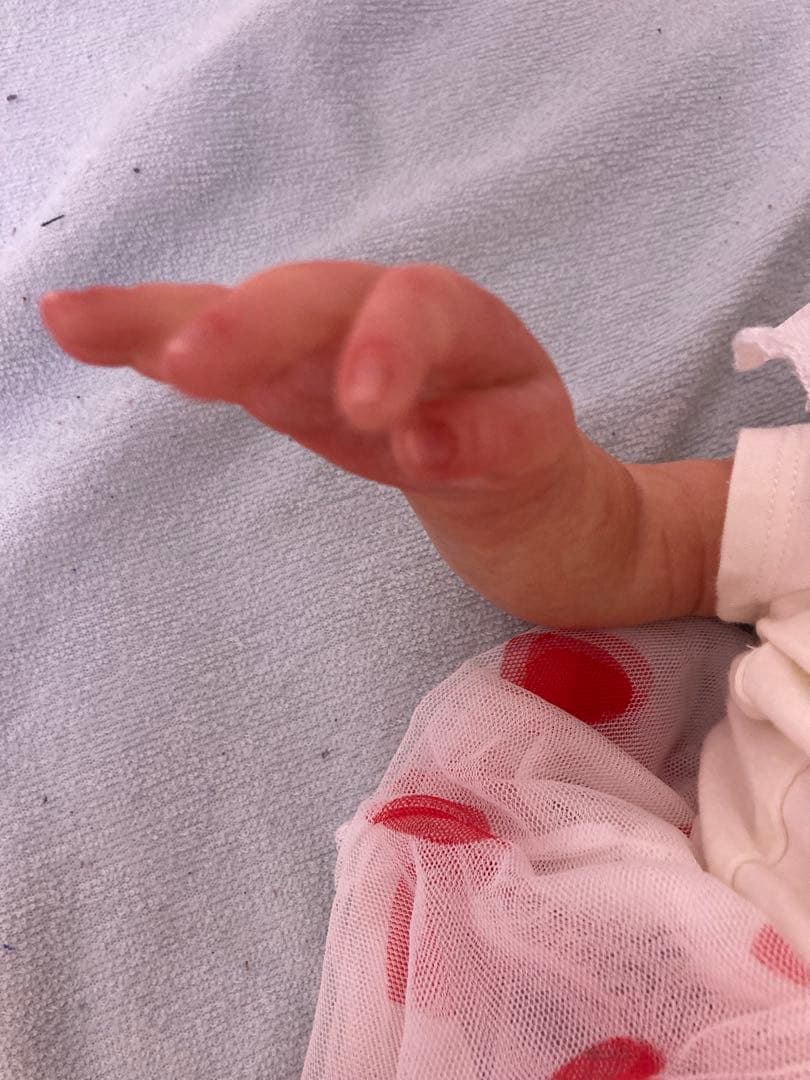 みいです！高級リボンドール　アメリア