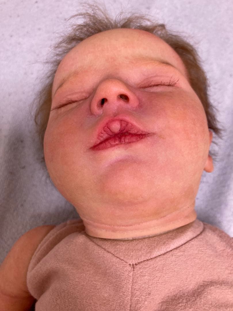 みいです！高級リボンドール　アメリア