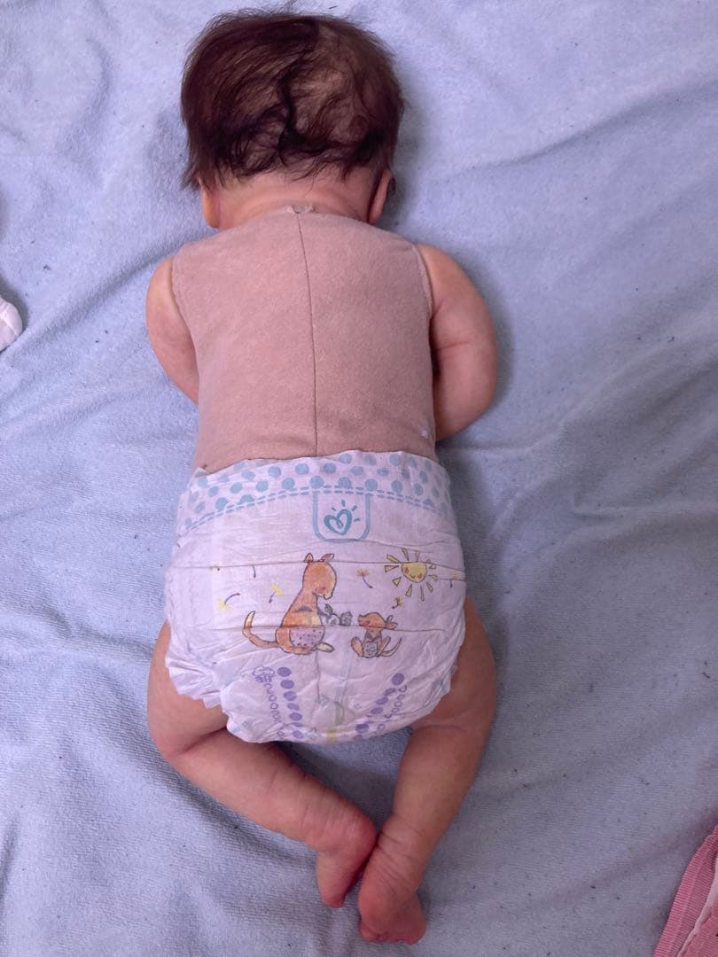 みいです！高級リボンドール　アメリア