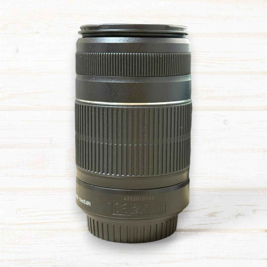 Canon ズームレンズ EF-S 55-250mm IS Ⅱ #111