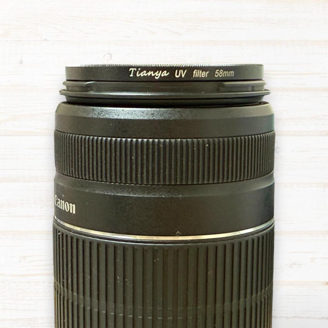 Canon ズームレンズ EF-S 55-250mm IS Ⅱ #111