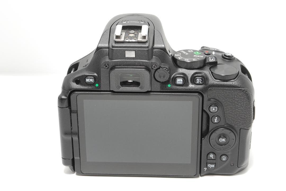 ❣Wi-Fi対応！Nikon D5500❣ダブルレンズ美品セットで快適転送❣