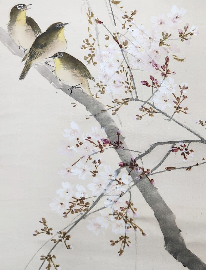 桜花目白図】今井景樹 2669 サクラにメジロ 共箱 掛け軸 肉筆 - メルカリ