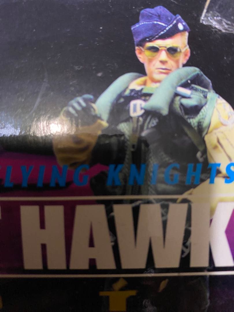 F117A night hawk pilot \"Moondog\" フィギュア