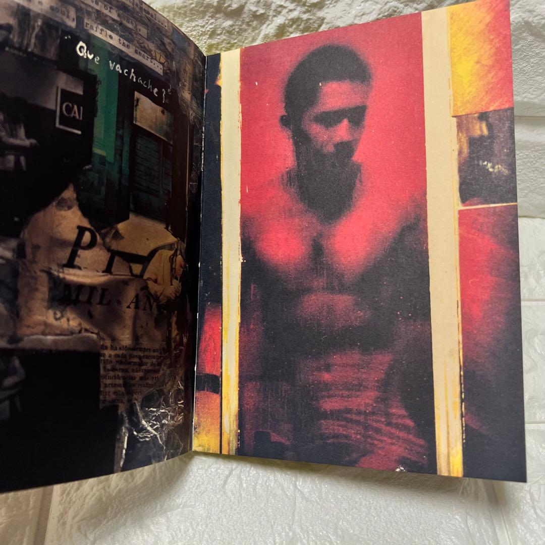 映画　春光乍洩　happy together ブエノスアイレス 限定写真集