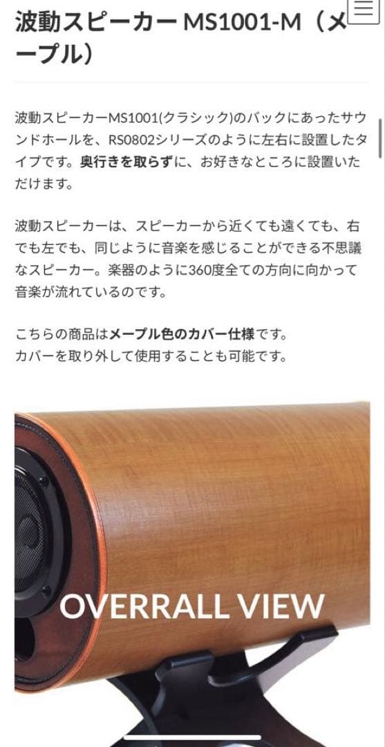 【カバー付き美品！】M'S System MS1001 波動スピーカー