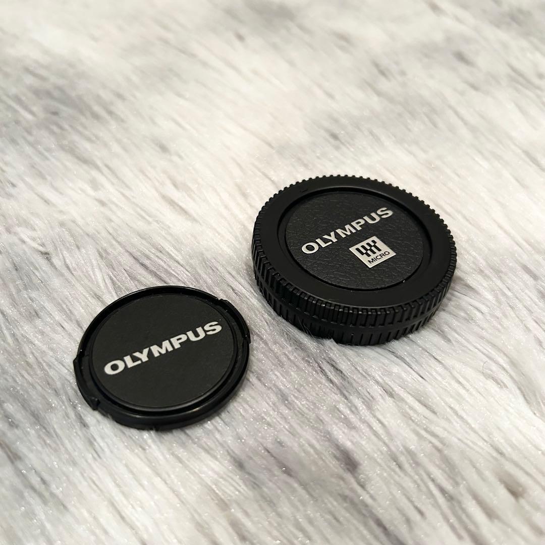 【美品完動品】 OLYMPUS OM-D E-M10 Mark II