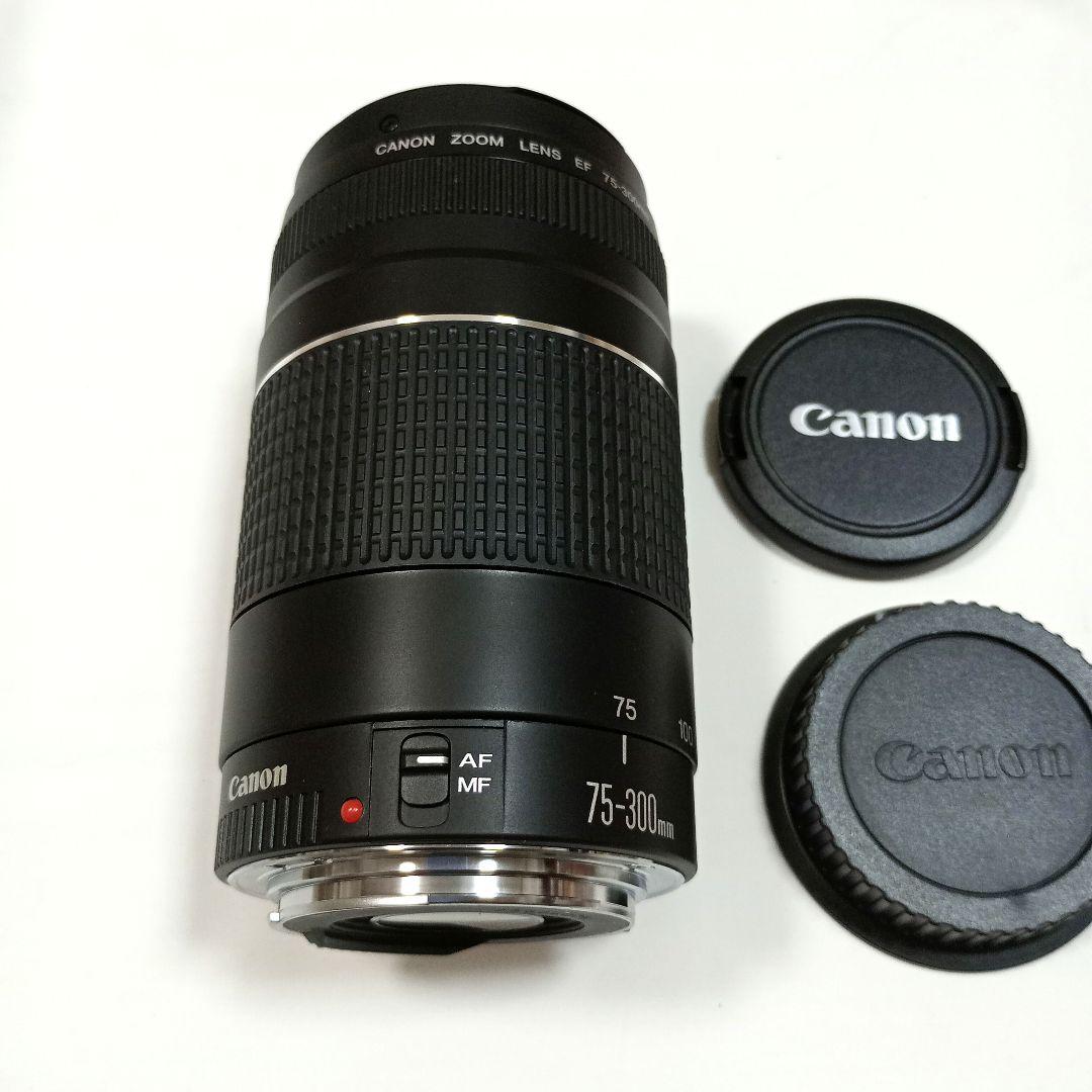 【超美品】望遠レンズ Canon EF75-300mm F4-5.6III