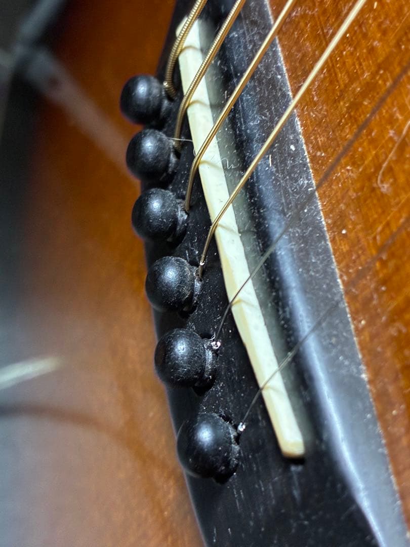 VG-00 寺田楽器 ギブソンタイプ