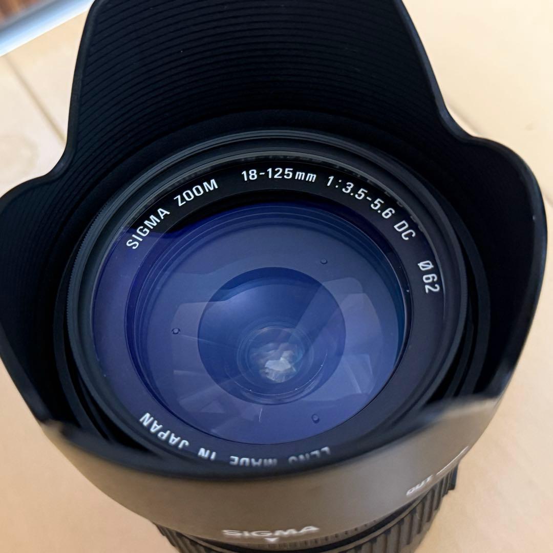 レンズ(ズーム) SIGMA 18-125mm canon APS-C