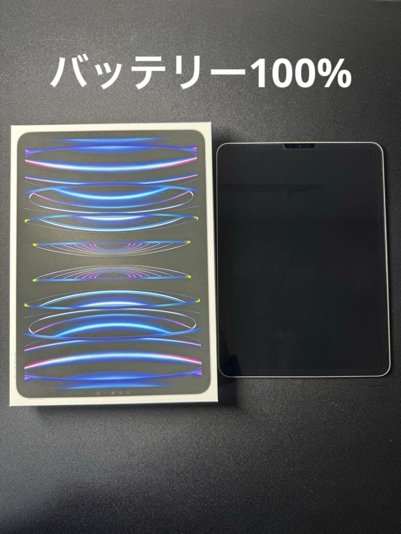 iPad Pro（11インチ）　第4世代　256GB シルバー　WiFiモデル Apple iPad Pro 11インチ 第4世代 Wi-Fi 256GB 2022年秋モデル 価格