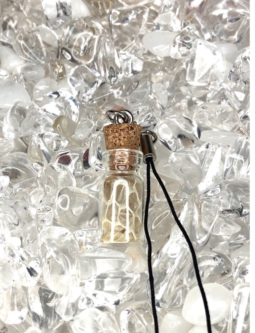 商売繁盛✨ストラップ小瓶✨金運全般✨蛇の抜け殻✨白蛇のお守り【天赦日ご祈祷済】A