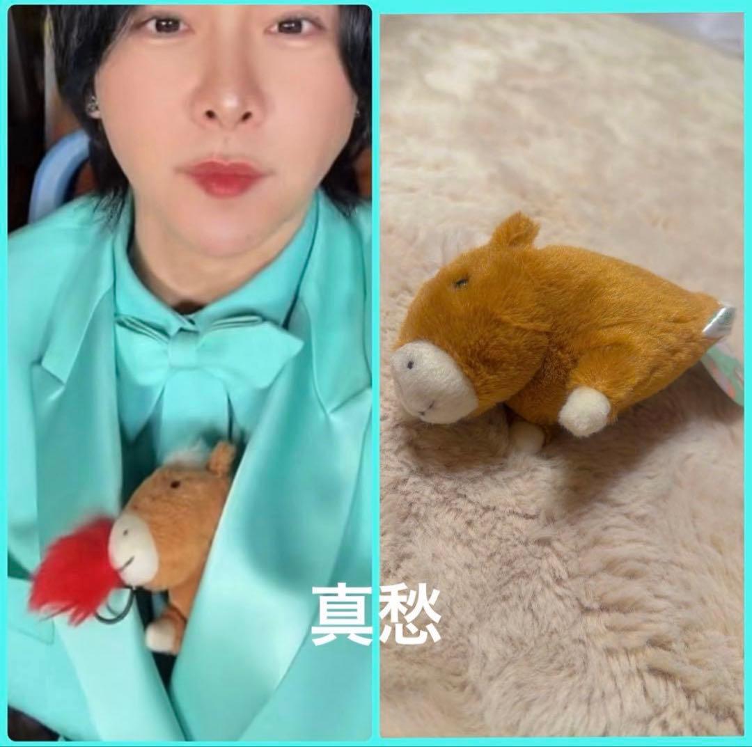 完売品◇ Mrs. GREEN APPLE CDTV 愛用 ぬいぐるみ 大森元貴 - メルカリ