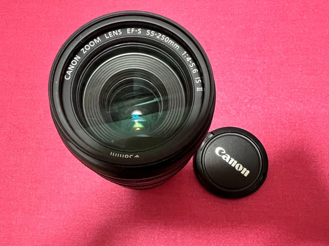 Canon EF-S 55-250mm F4-5.6 レンズプロテクター付き