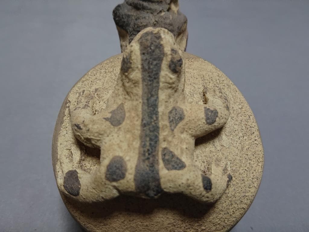 コレクター収集品 アンデス プレコロンビア チャンカイ文化 （蛙.人面