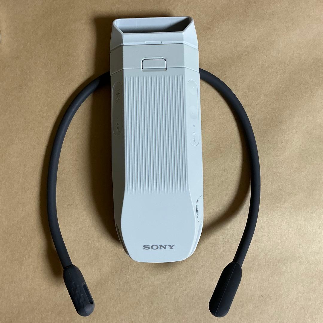 SONY REON POCKET PRO　ソニー レオンポケットプロ