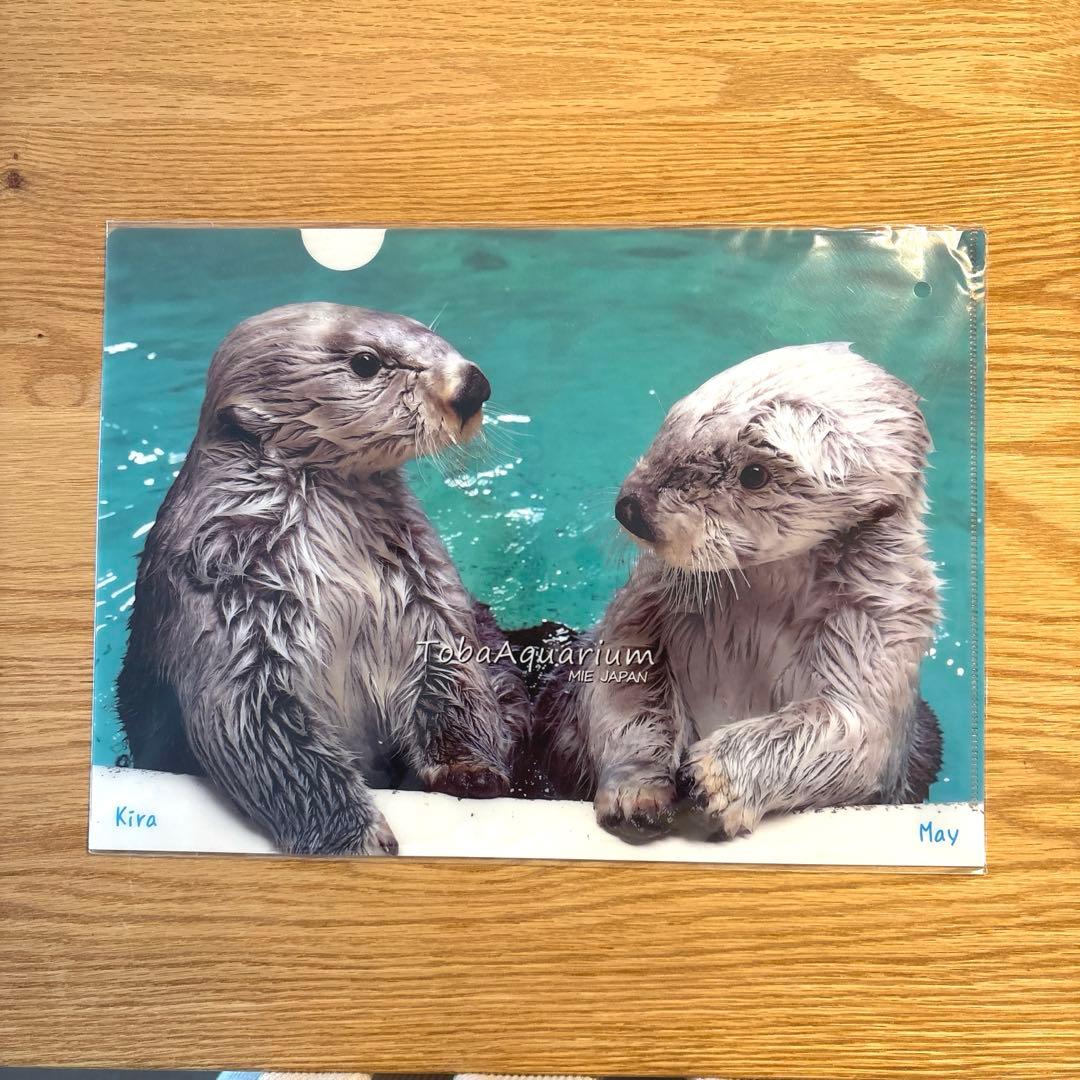 鳥羽水族館 70周年グッズ ラッコセット - メルカリ