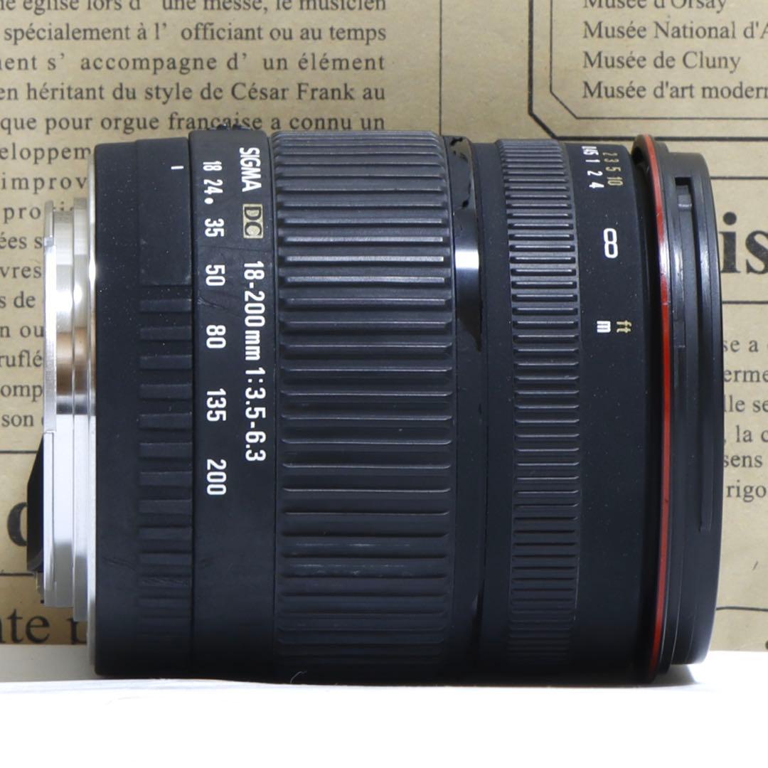 ⭐︎一本で広角〜望遠☆Sigma 18-200mm for キャノン ☆
