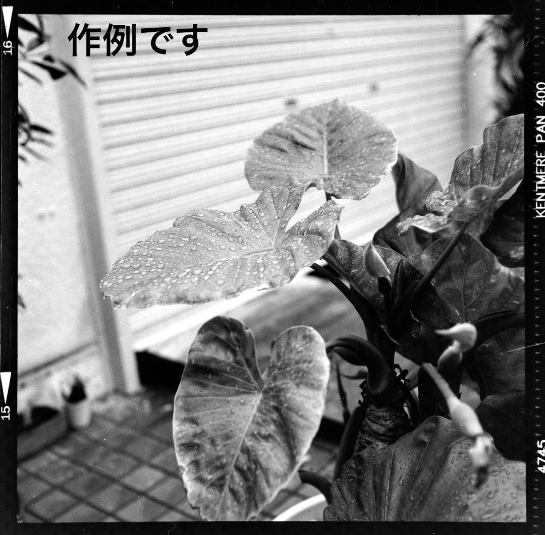 【美品】ローライコード　ROLLEICORD Ⅳ ウエストレベルファインダー