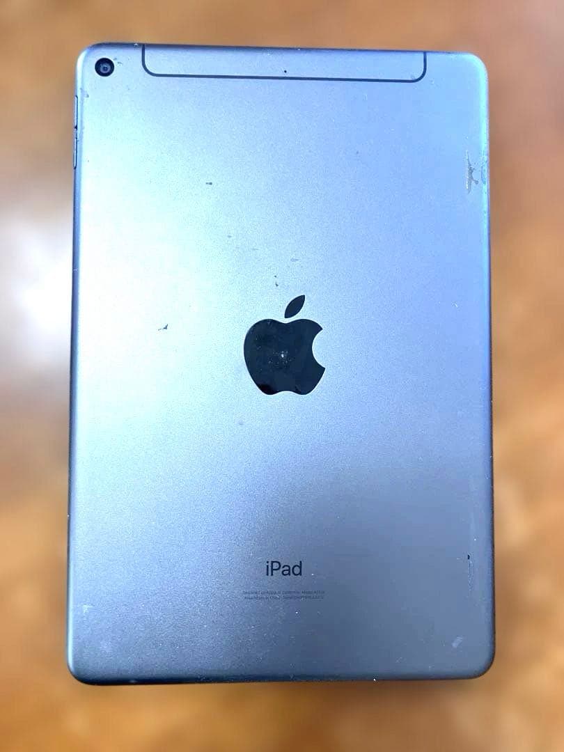 【訳あり】Apple iPad mini (第5世代) 256GB