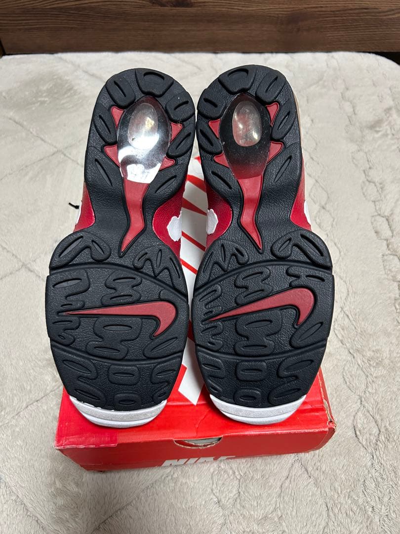 【美品】NIKE AIR DT MAX 96 27.5cm 古着