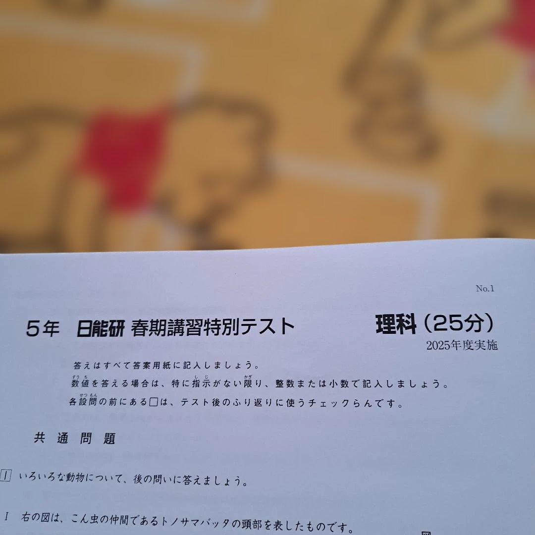 2025年 5年 日能研 春期講習特別テスト - メルカリ