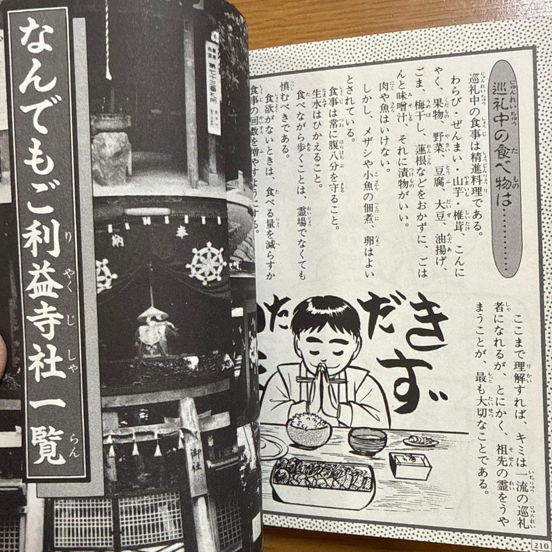 日本の霊場大百科 ケイブンシャの大百科 372 怪奇 怪奇系児童書 心霊