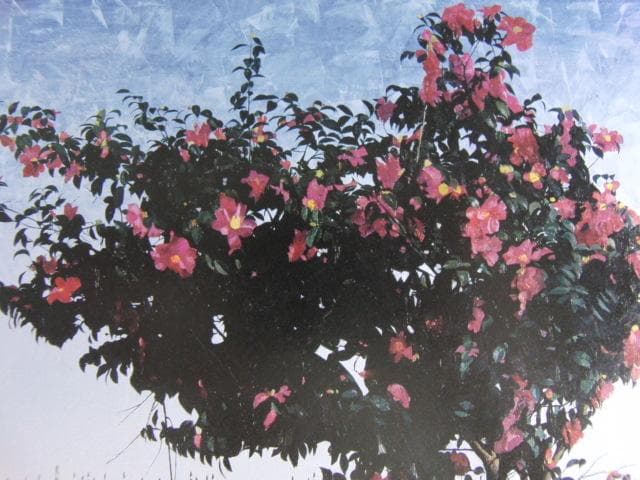 小泉正彦、【椿】、希少な額装用画集画、新品高級額 額装付、状態良好