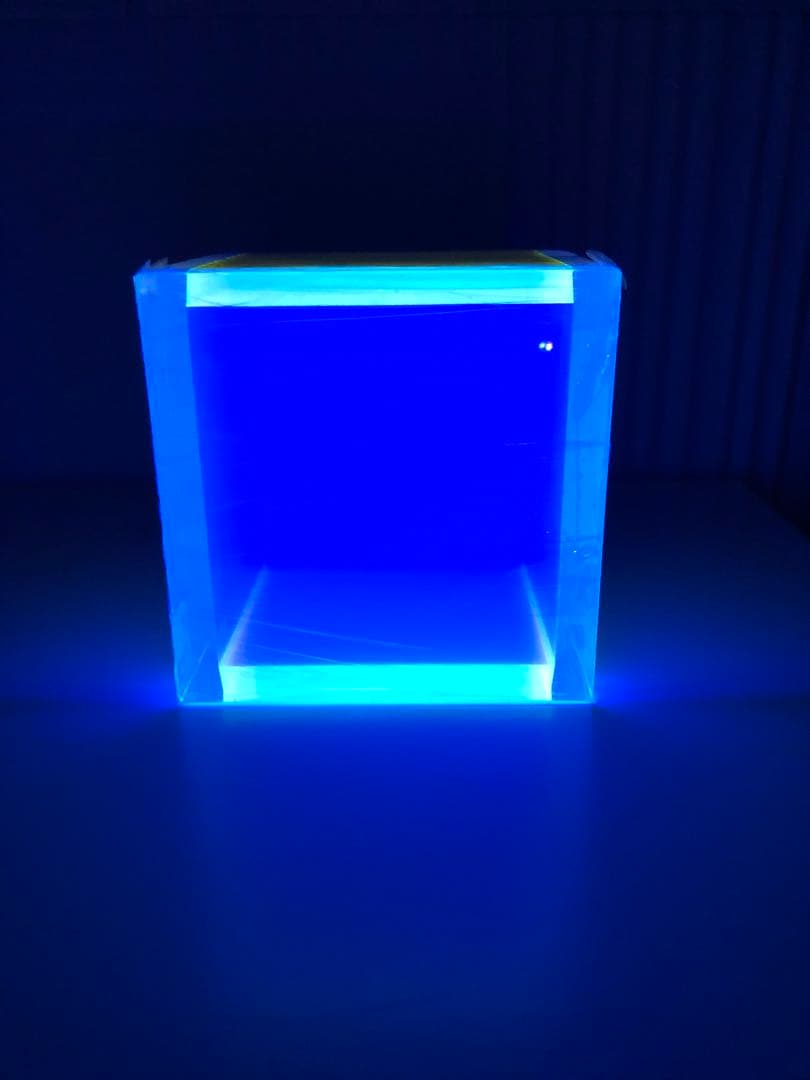 コレクター必見❗️希少‼️レギーネ・シューマン　Regine Schumann レギーネ・シューマン展 immersion in fluorescent light | アート