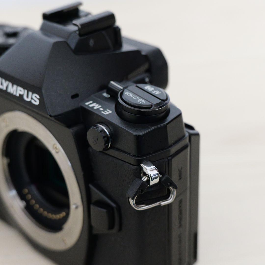 【僅か4602ショット】OLYMPUS OM-D E-M1 レンズキット