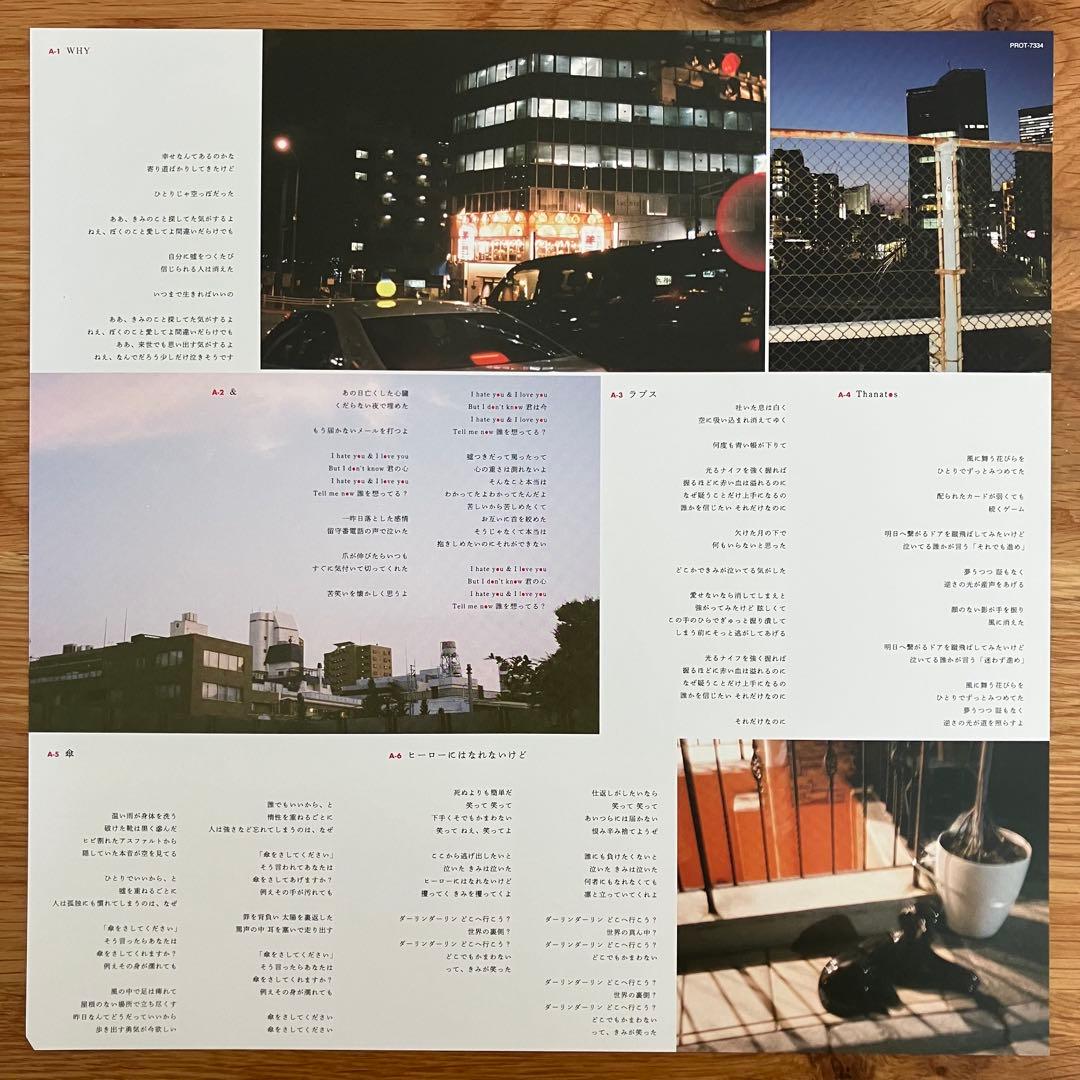 きのこ帝国 – タイム・ラプス アナログレコードLP - メルカリ