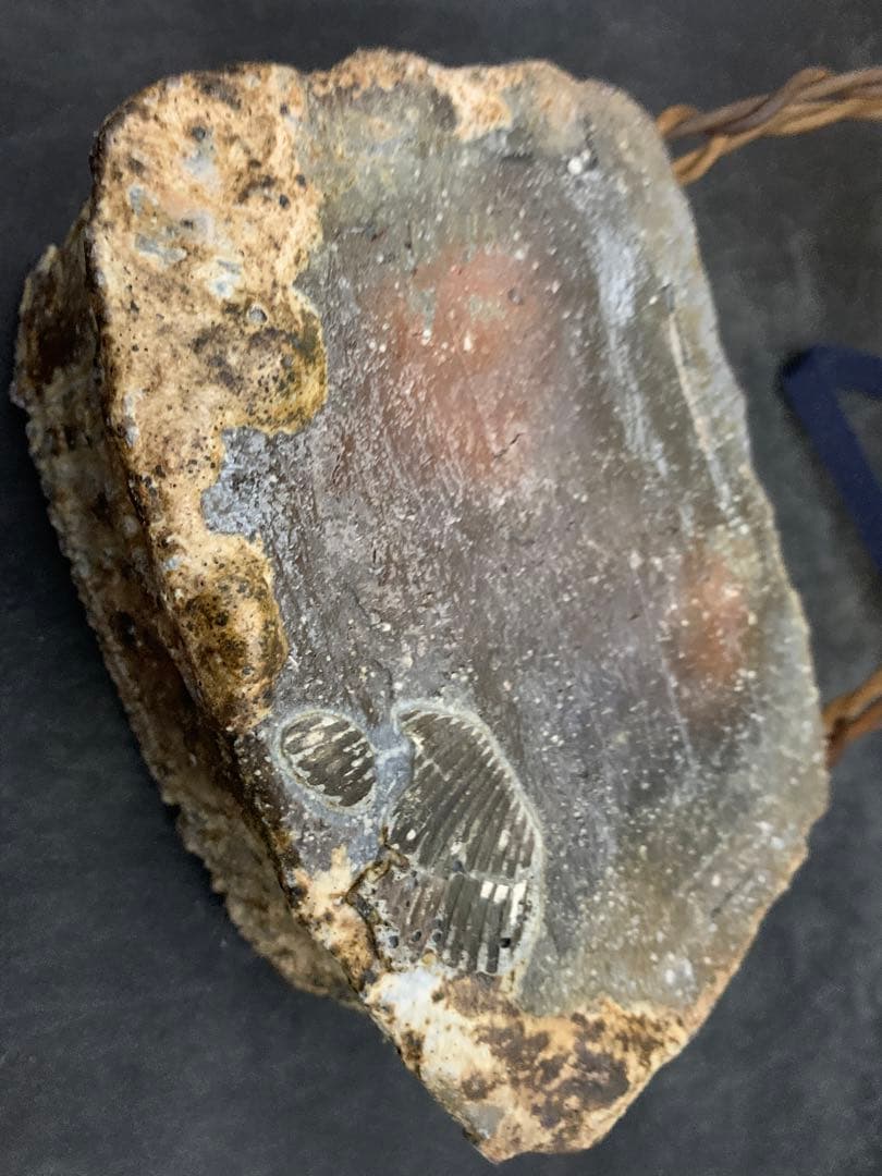 力窯 水垣力 扁壷 花器 花入 土味 栞共箱