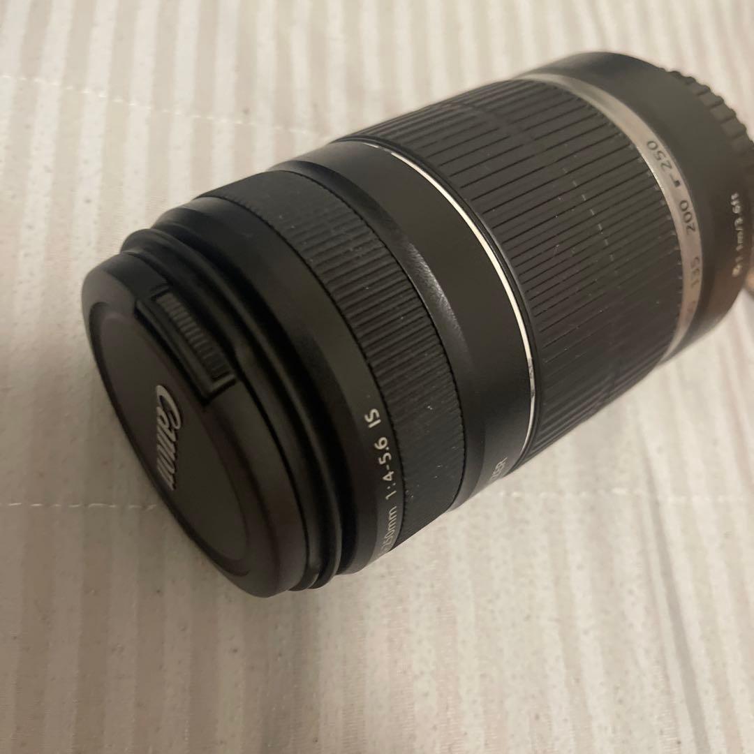 CANON EFS55-250mm ZOOM レンズ