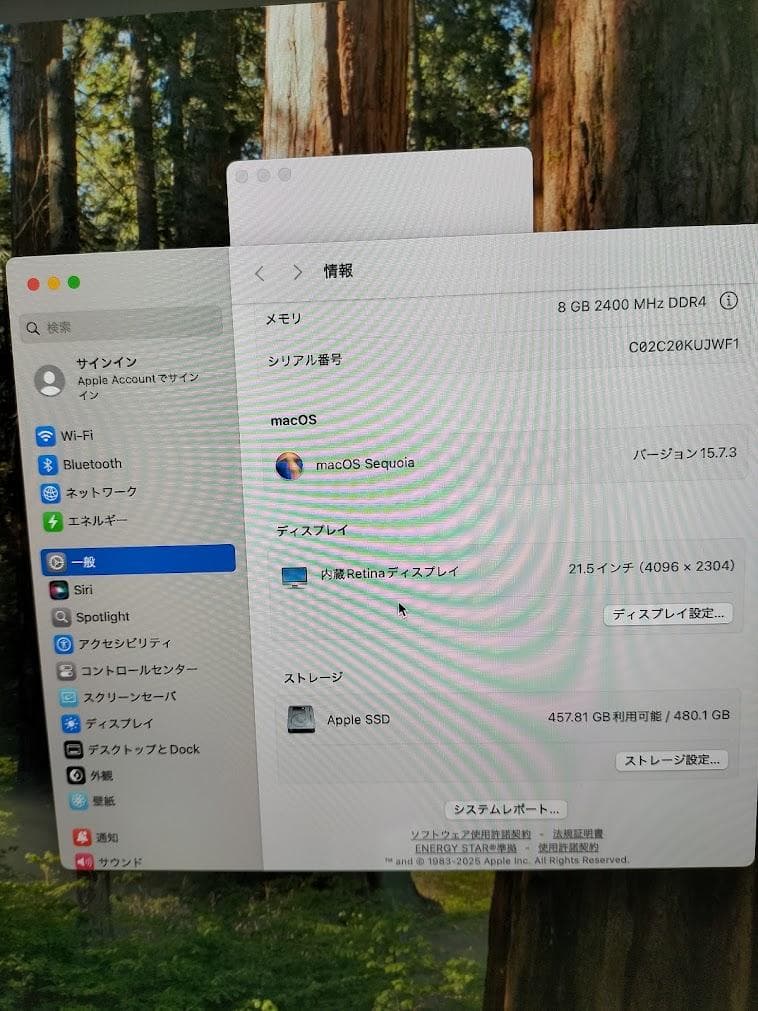 iMac 2019年　SSD 4K Retina
