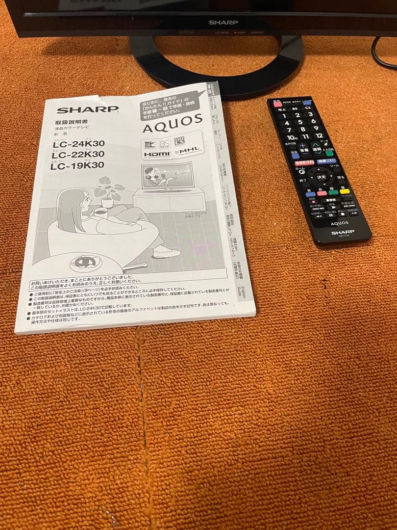 ぴ太郎　シャープ 19V型 液晶テレビ ハイビジョン 外付HDD対応