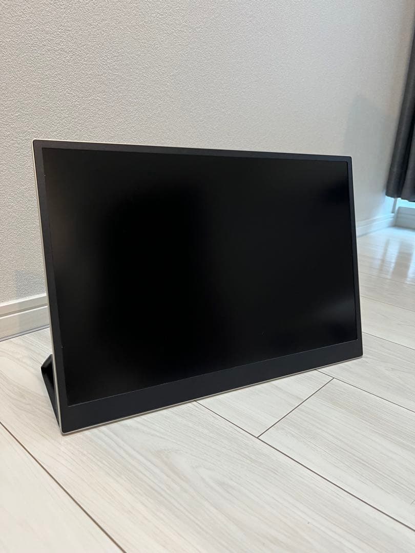 Lenovo ThinkVision M17d #1 ディスプレイ・モニター