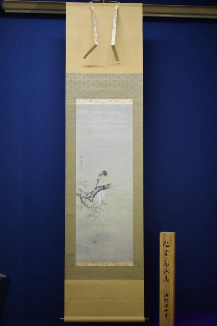 複製/狩野探幽/海常に尾長鳥/工芸/桐共箱付/布袋屋掛軸HH-933 - メルカリ