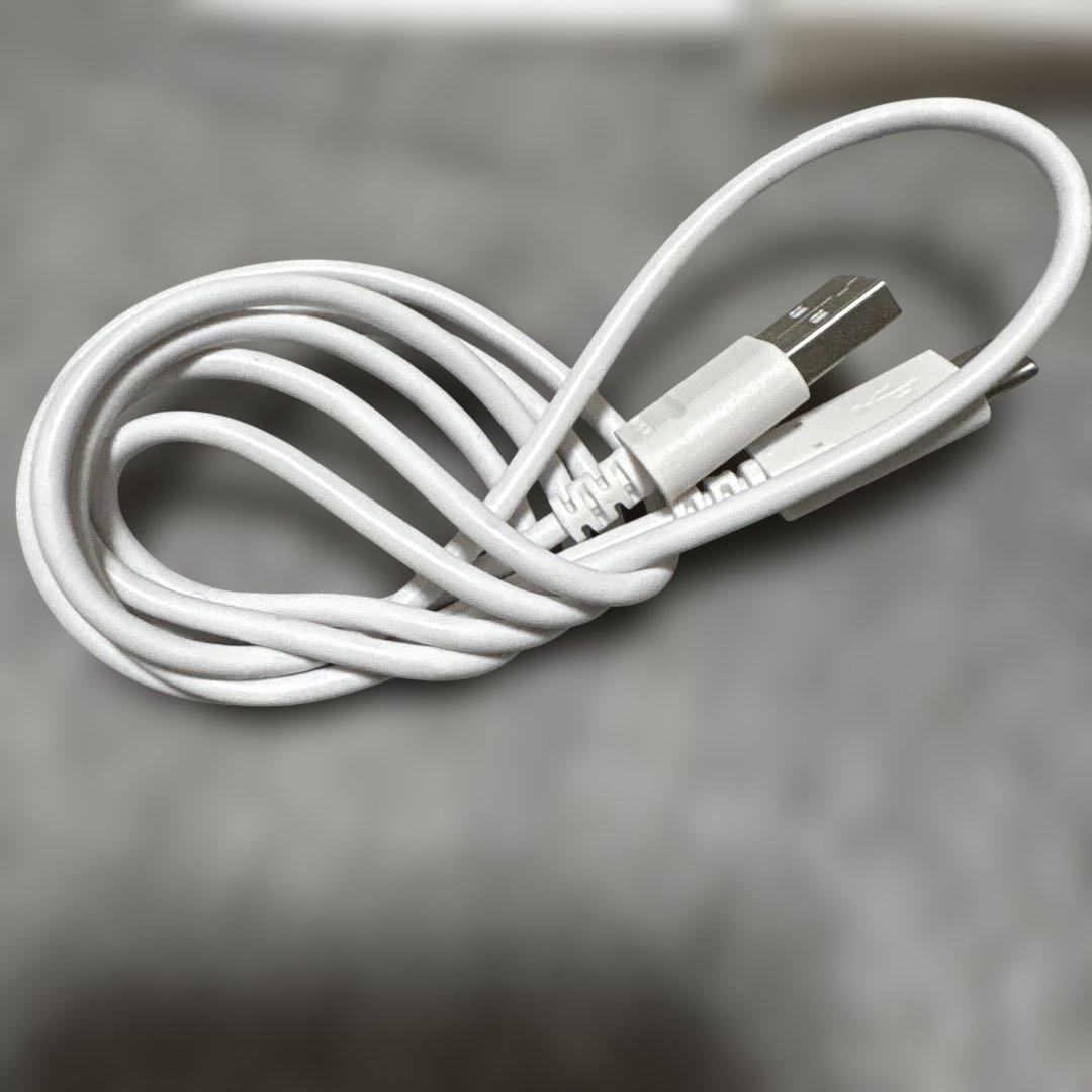 STELLA BEAUTÉ 美顔器 ビューティーフェイススティック専用ポーチ付き