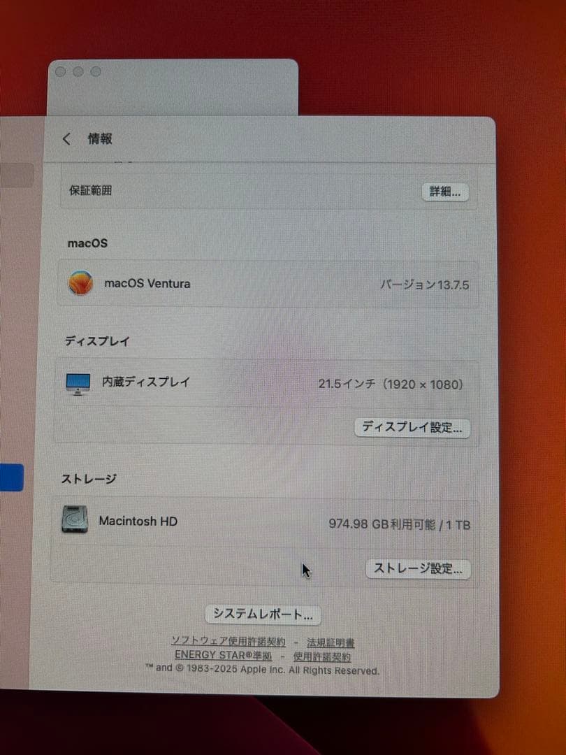 セール！Apple iMac 21.5インチ (A1418) 16g 1TB