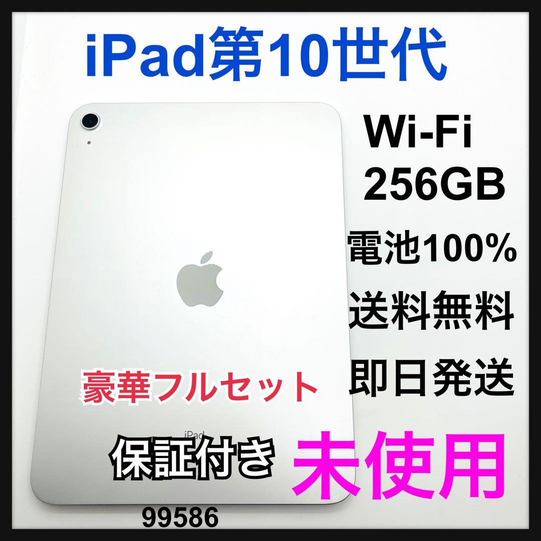 未使用　iPad10 第10世代　256 GB Wi-Fi シルバーpencil 2022 Apple iPad 10.9-inch, Wi-Fi, 256GB, Silver, 10th Gen