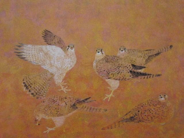 野々内良樹、【チョウゲンボウ】、希少な額装用画集より、美品、新品