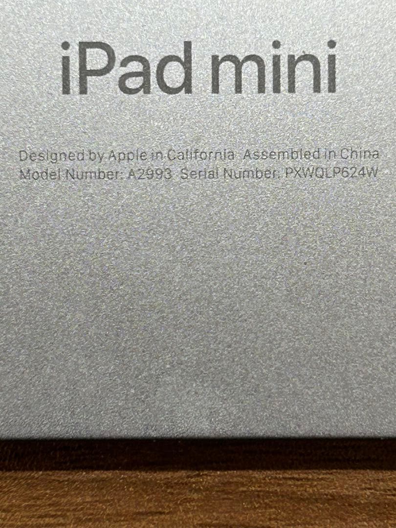 iPad mini 本体