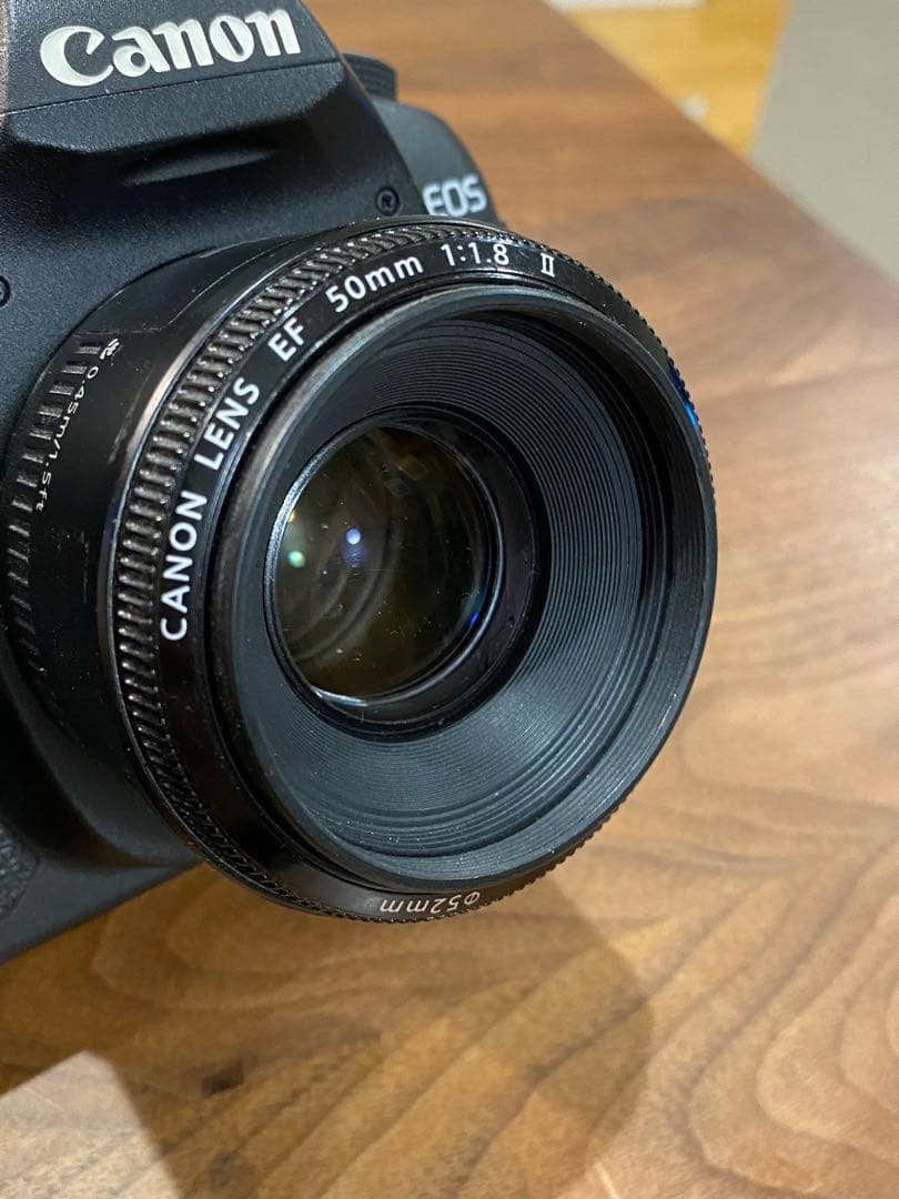 Canon EOS 5D markⅡデジタル一眼　EF50㍉　1:1.8 動作品