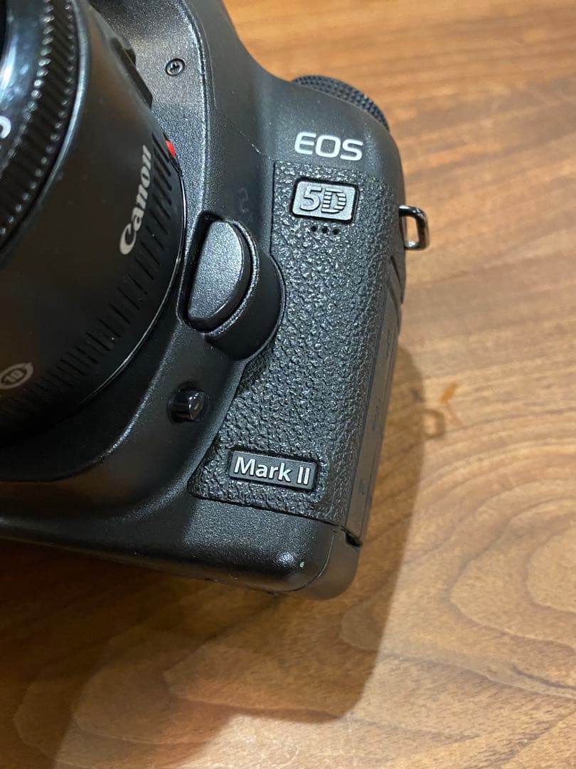 Canon EOS 5D markⅡデジタル一眼　EF50㍉　1:1.8 動作品