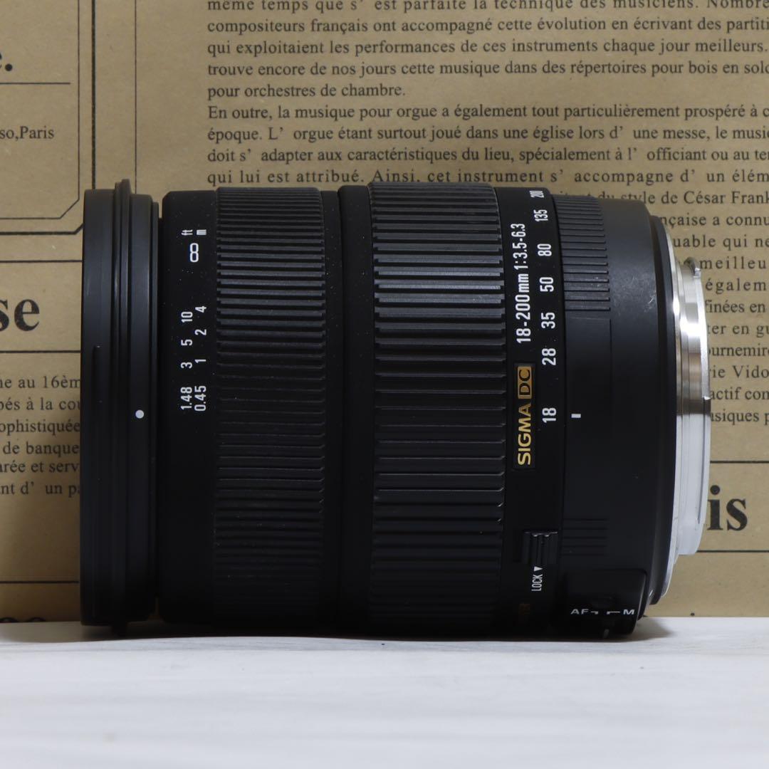 ⭐︎広角〜望遠&手ブレ☆Sigma 18-200mm OS for キャノン ☆