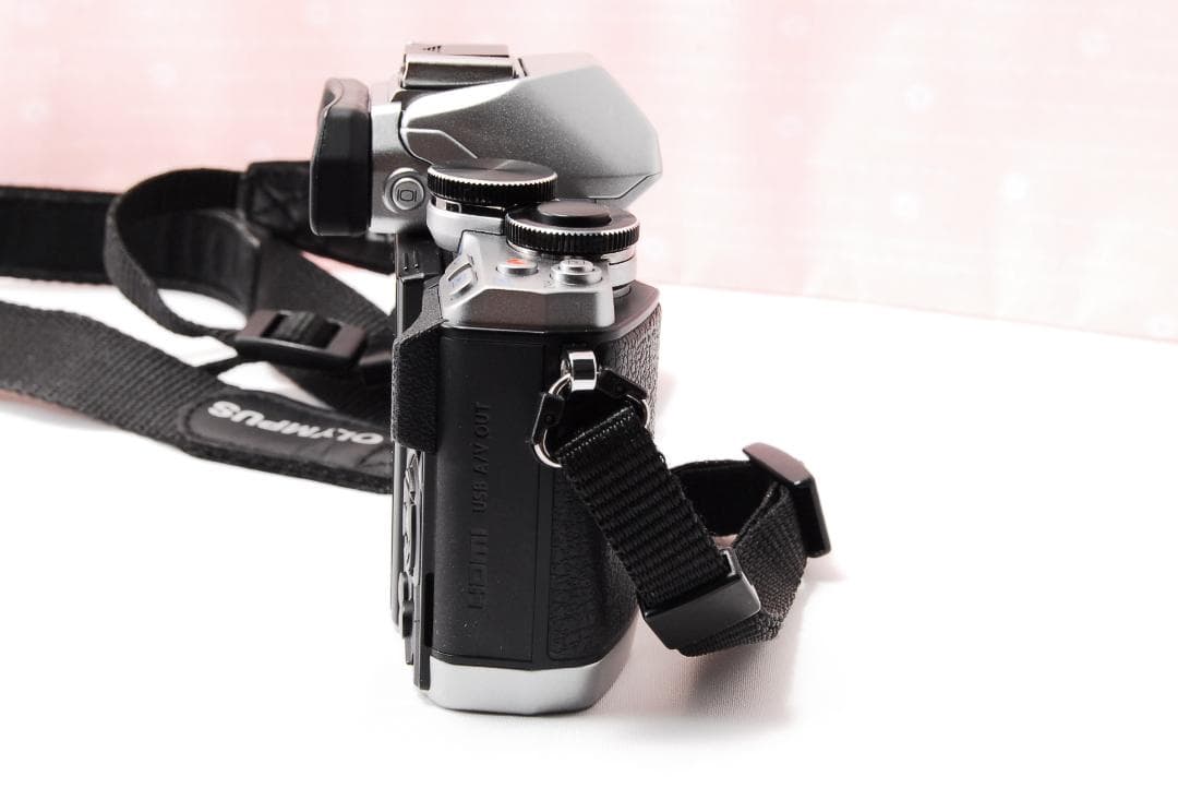 〓バッテリーパック3個〓オリンパス E-M10 ボディ ミラーレス一眼レフカメラ